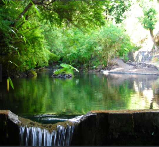 Parque Agua Potable Coñaripe
